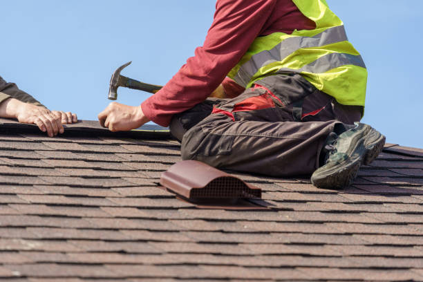 Roof Gutter Cleaning in Palm Springs, FL