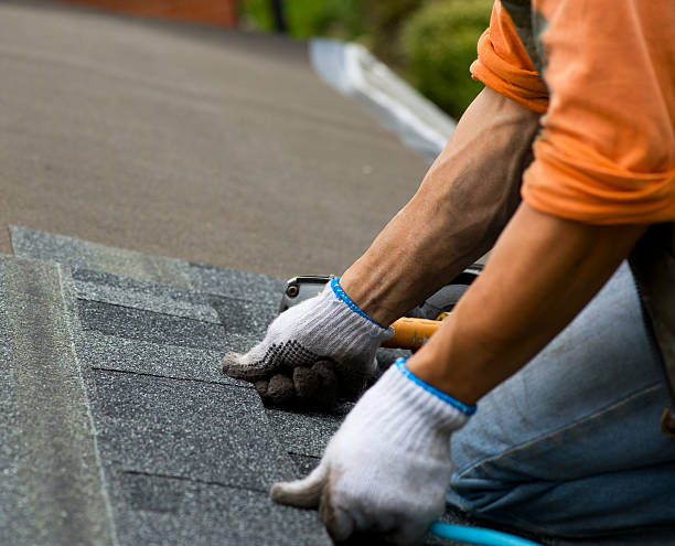 Best Storm Damage Roof Repair  in Palm Springs, FL
