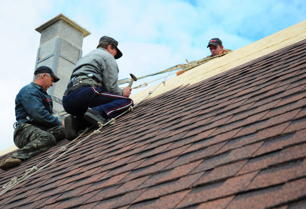 Best Roof Gutter Cleaning  in Palm Springs, FL