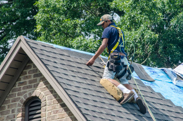 Professional Roofing Contractor in Palm Springs, FL